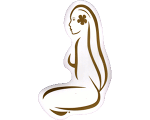 Adesivo Hinano Stilizzato - formato piccolo - Oro